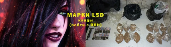 сатива Зерноград