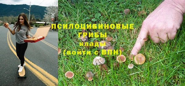 бошки Зеленодольск