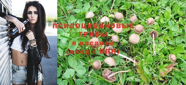 ECSTASY Зеленокумск
