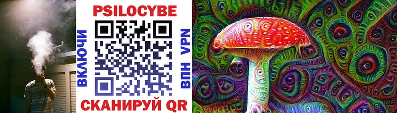 Купить где  Богучар  Галлюциногенные грибы MAGIC MUSHROOMS 